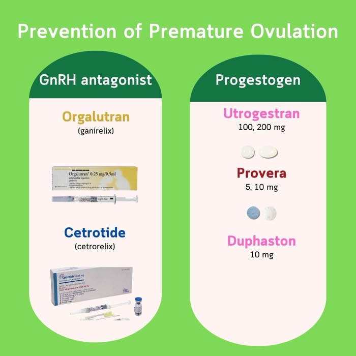 समय से पहले ओव्यूलेशन की रोकथाम — GnRH एंटागोनिस्ट (Orgalutran, Cetrotide) और प्रोजेस्टोजेन (Utrogestran, Provera, Duphaston)